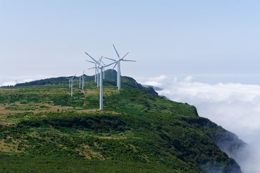 Apa yang Dimaksud dengan Environmental dalam ESG - Wordsmith Group