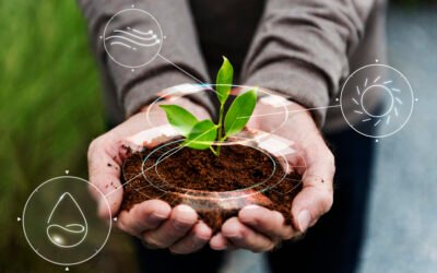 Mengapa Laporan ESG Merupakan Masalah Pengukuran, Bukan Masalah Nilai?